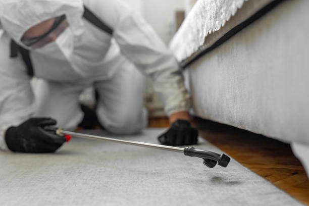 Professional Pest Control technician working in Alcona County County, MI